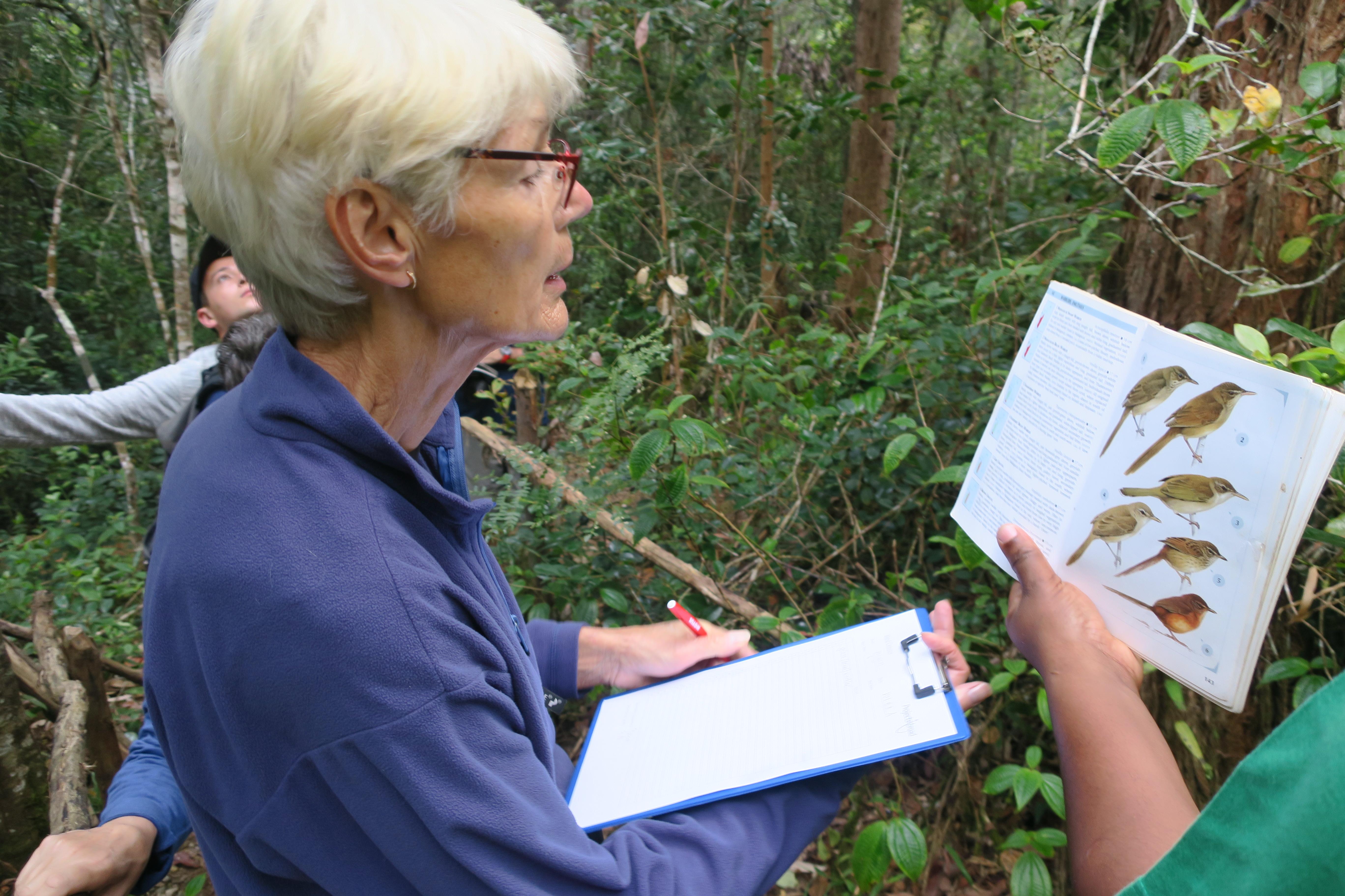 A volunteer from Projects Abroad participating in bird spotting and identification as part of her rainforest conservation volunteering in Madagascar. A Projects Abroad volunteer is pictured identifying a bird whilst on her rainforest conservation volunteering work in Madagascar.